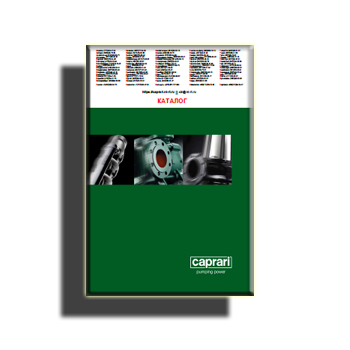 Catalog on site Caprari
